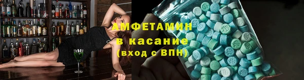 прущие грибы Дмитровск