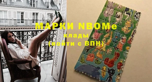 МДПВ Дмитриев