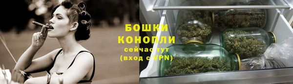 МДПВ Дмитриев