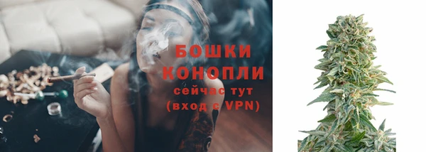 прущие грибы Дмитровск