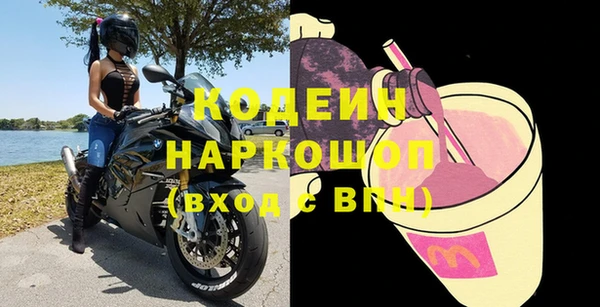 МДПВ Дмитриев