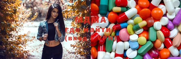 прущие грибы Дмитровск